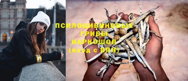 mdpv Верхний Тагил