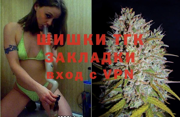 прущие грибы Заводоуковск